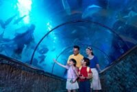 Bulan suci Ramadan 1447 Hijriyah menjadi momen spesial untuk menikmati suasana berbeda di kawasan wisata tepi laut Jakarta. Selama periode tertentu, kamu bisa masuk ke Ancol tanpa biaya tiket orang.