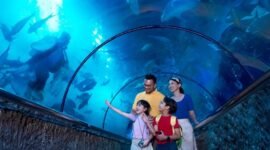 Bulan suci Ramadan 1447 Hijriyah menjadi momen spesial untuk menikmati suasana berbeda di kawasan wisata tepi laut Jakarta. Selama periode tertentu, kamu bisa masuk ke Ancol tanpa biaya tiket orang.