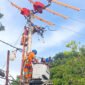 Tim khusus Pekerjaan Dalam Keadaan Bertengangan tengah memelihara jaringan tanpa padam di Kabupaten Bantaeng, Sulawesi Selatan. Foto: Istimewa
